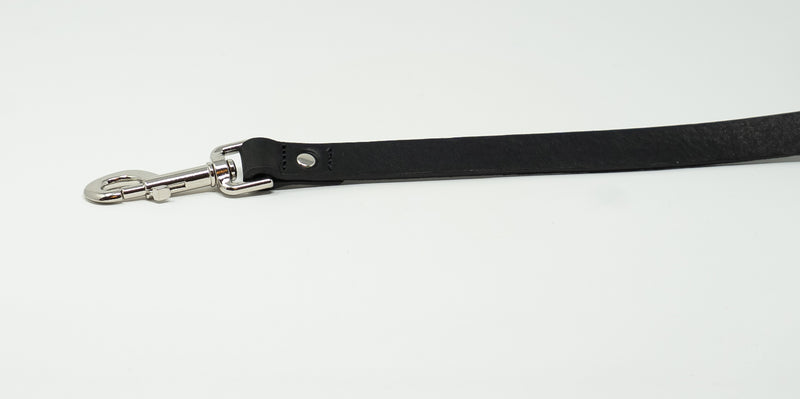 Black dog leash with silver clasp on a white background