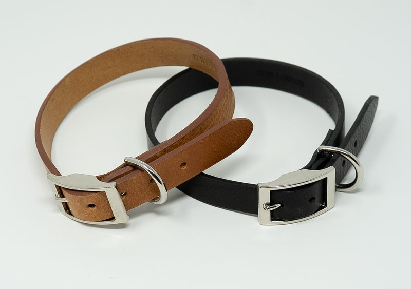 Premium leather Dog Collar 1.6cm Wide