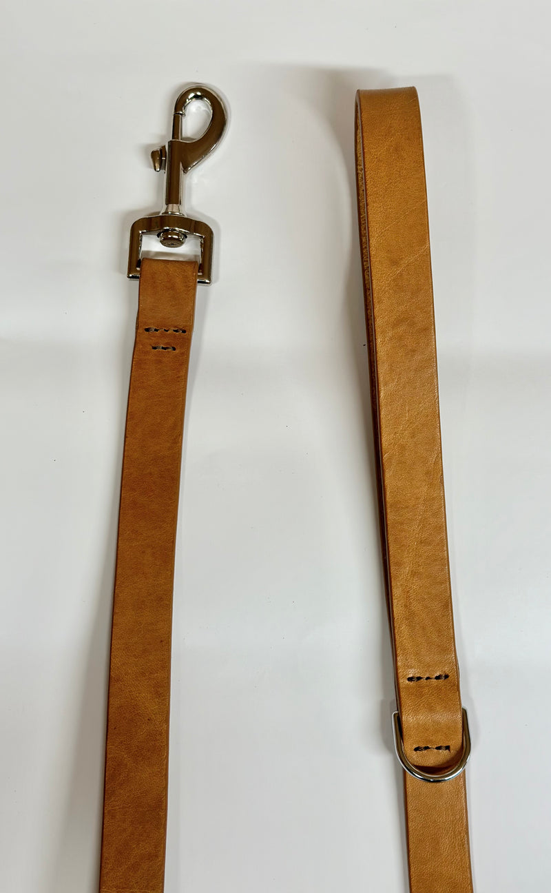 Nickel clip on one end of dog lead and Dee on the handle end.